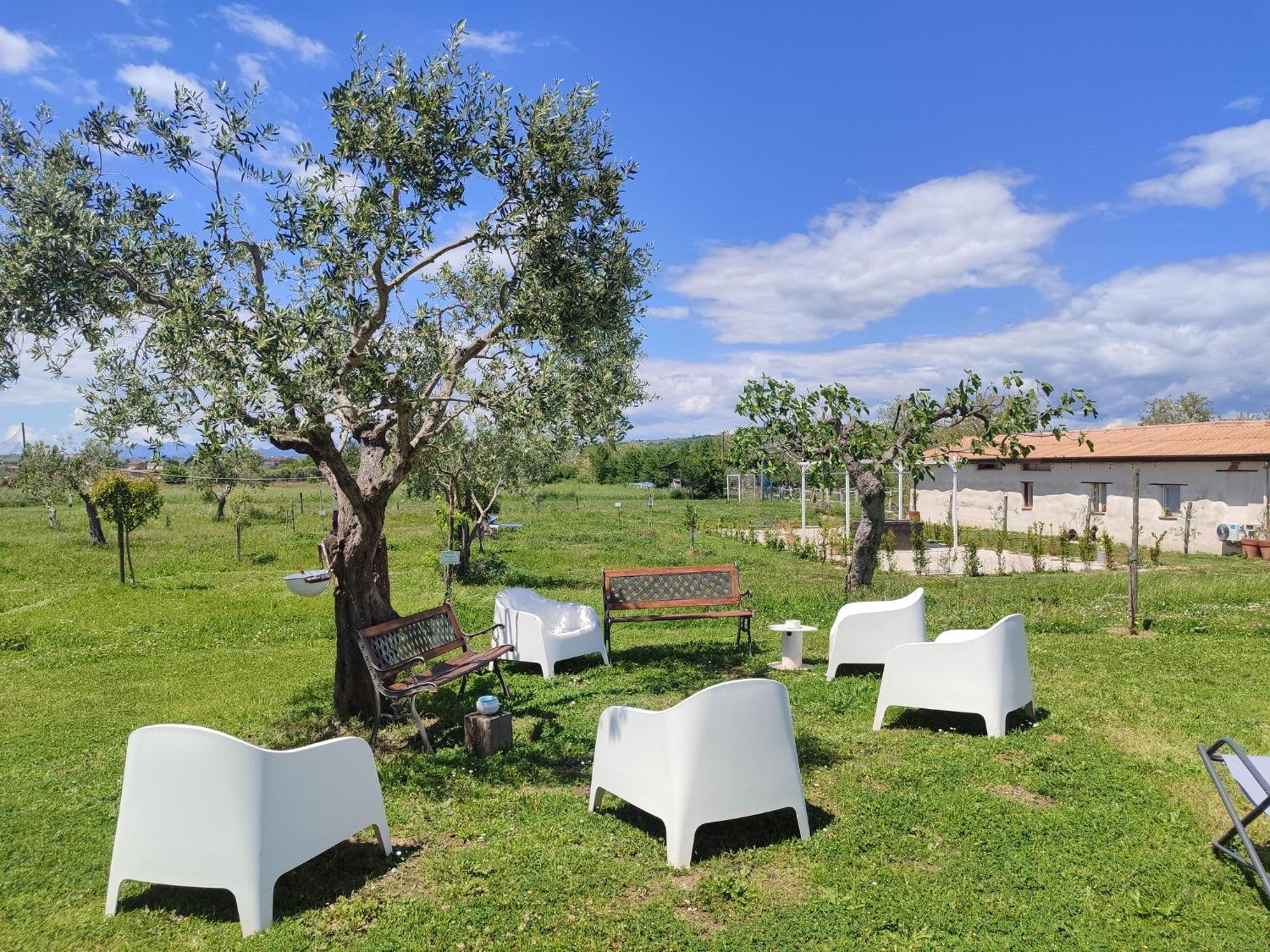 Masseria Fontana Dei Fieri Pietrelcina Eksteriør billede